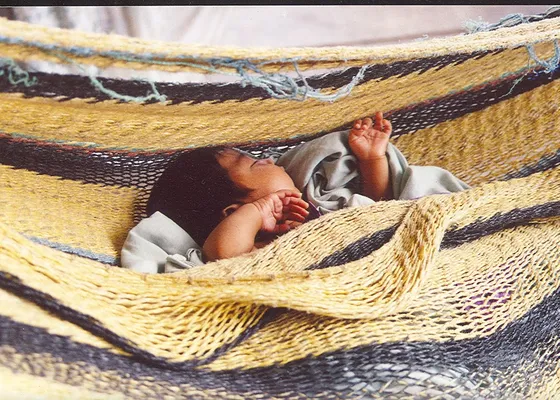 Chinchorro de Moriche