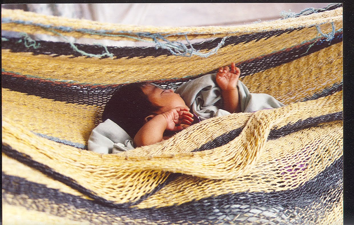 Chinchorro de moriche